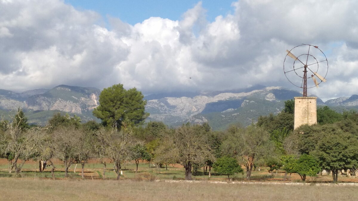 CouCou Mallorca